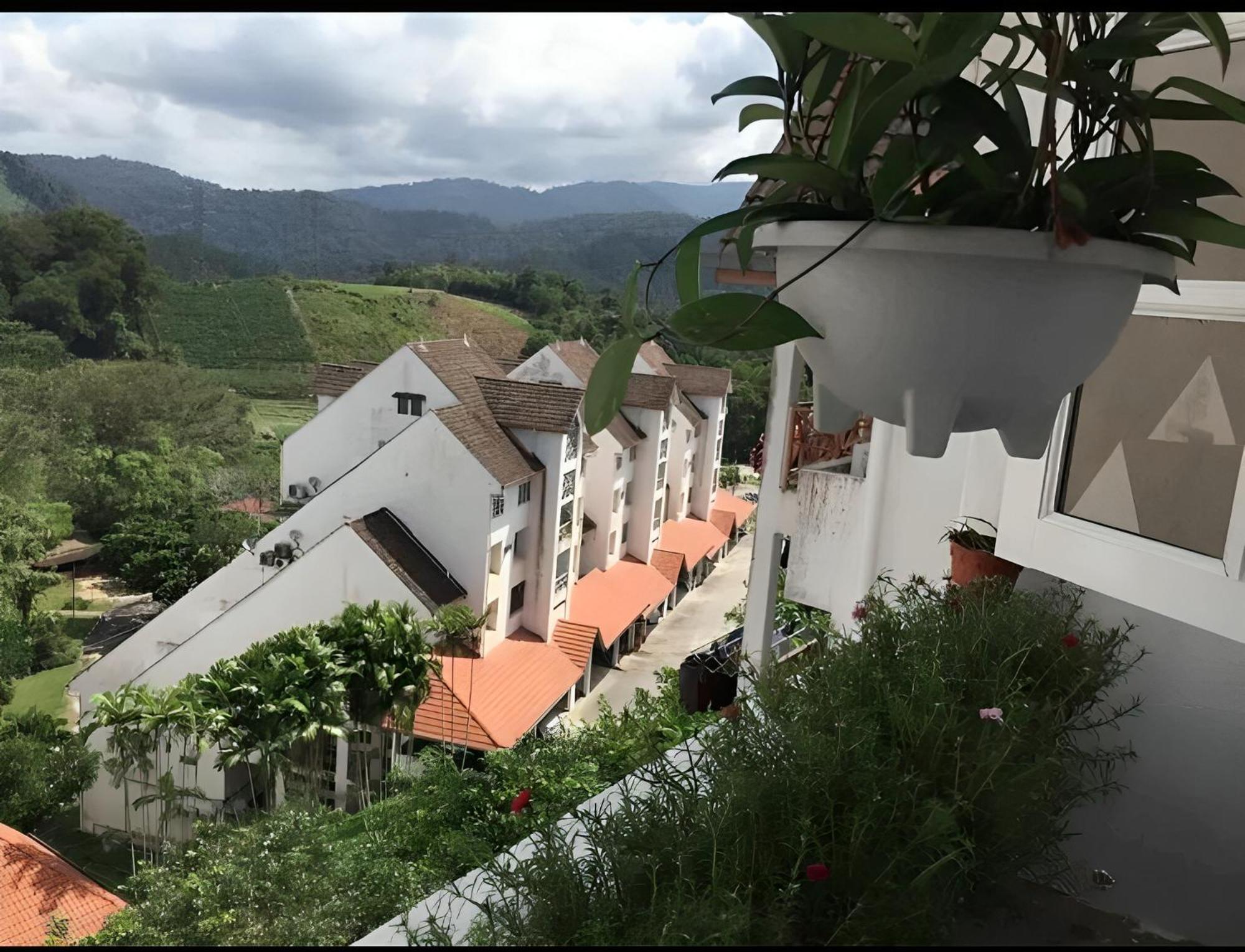 Bukit Tinggi Fuchsia Hillhomes Luaran gambar